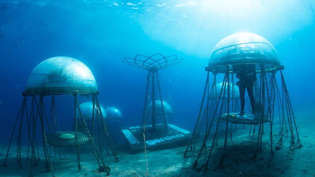 Gardens Under the Ocean?