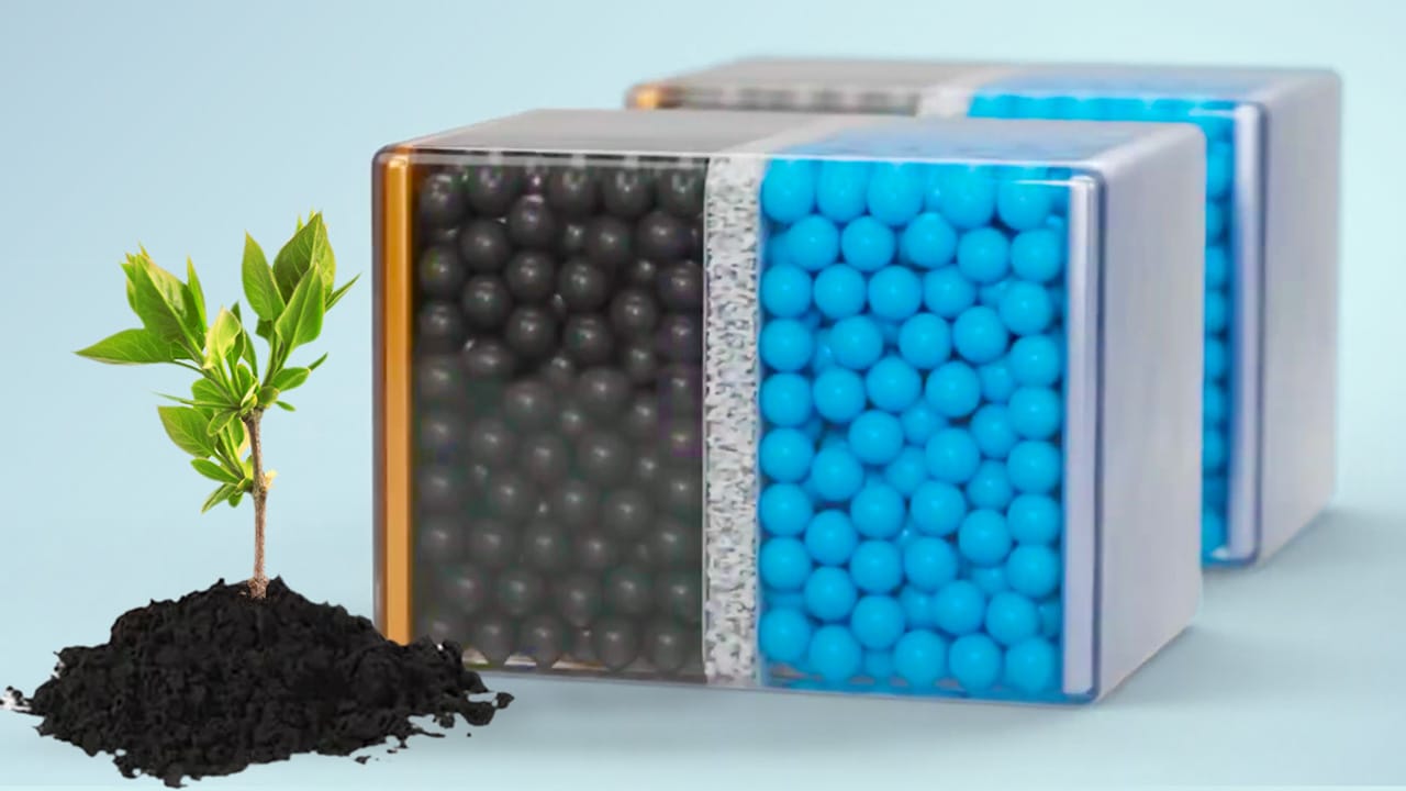How We Will Be Growing Batteries - Wood Battery Explained